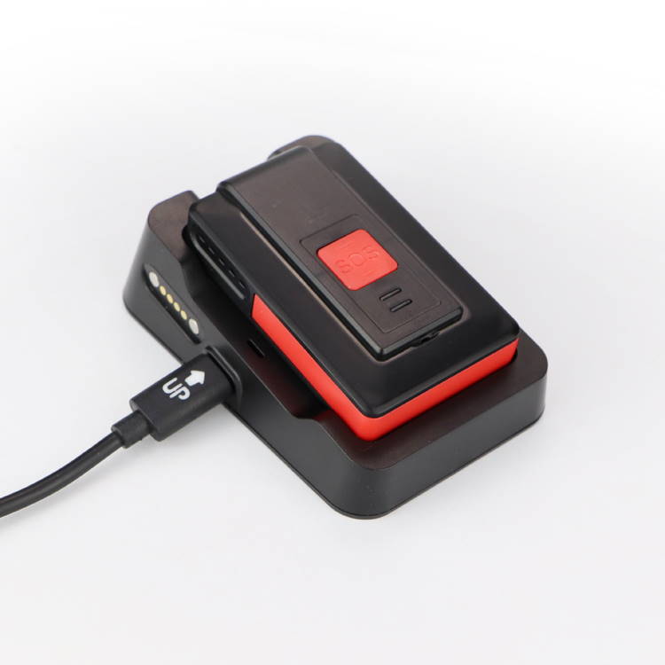 Czujnik bezruchu -  PNA-11 4G